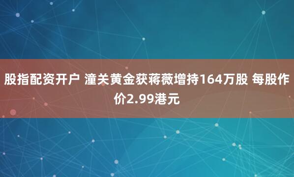 股指配资开户 潼关黄金获蒋薇增持164万股 每股作价2.99港元